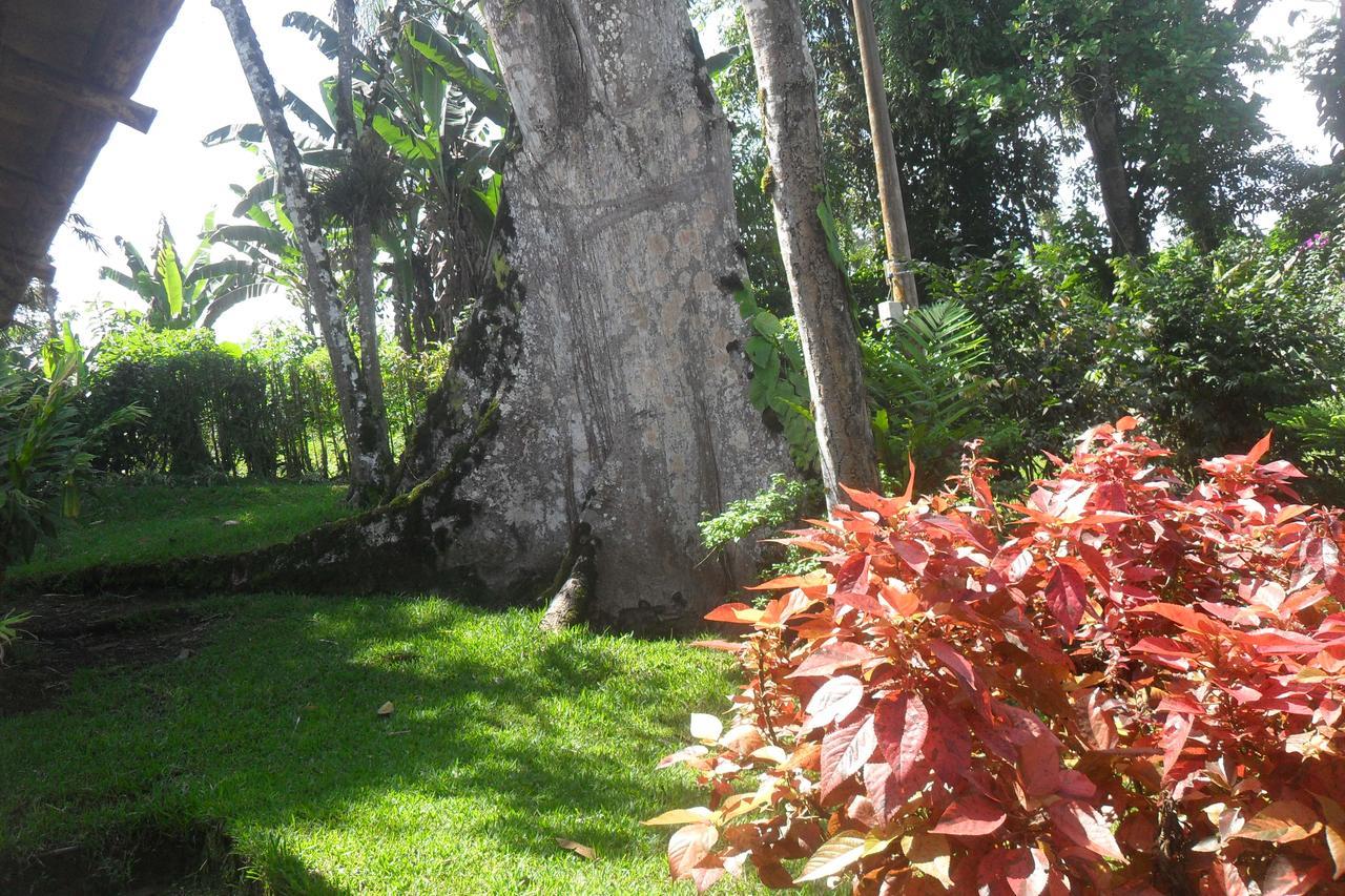 Estancia La Colina Santo Domingo de los Colorados Dış mekan fotoğraf