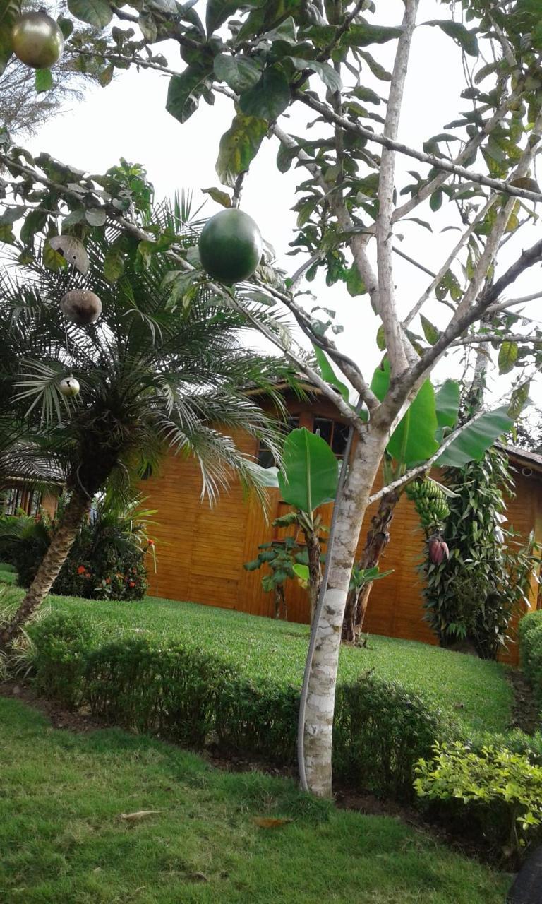 Estancia La Colina Santo Domingo de los Colorados Dış mekan fotoğraf